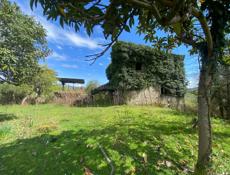 Сухум турбаза Апсильская улица 