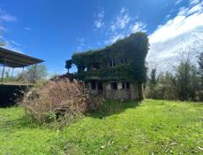 Сухум турбаза Апсильская улица 