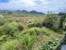 Сухум турбаза Апсильская улица 