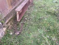 Швелер Т-образный 860/45/18