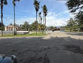 17 соток цитрусовый совхоз