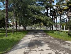 17 соток цитрусовый совхоз