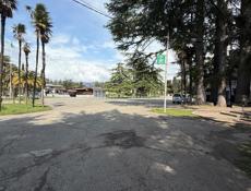 17 соток цитрусовый совхоз