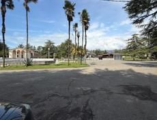 17 соток цитрусовый совхоз