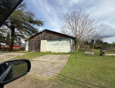 17 соток цитрусовый совхоз