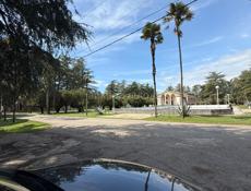 17 соток цитрусовый совхоз