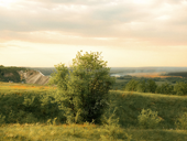 С. Приморск  25х60 площадь 