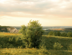 С. Приморск  25х60 площадь 