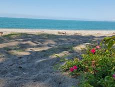 Продается дом. Гулрыпш🏖️