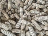 Кукуруза белая