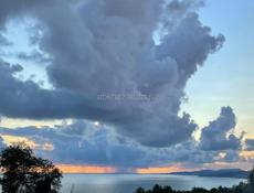 Куплю 14 про