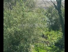 Сдаются комнаты в частном доме