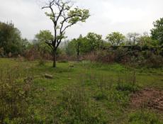 Участок на Чанба срочно рядом Монастырь