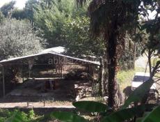 Дом с участком