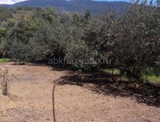 Дом с участком