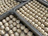 Повар в цех полуфабрикатов 