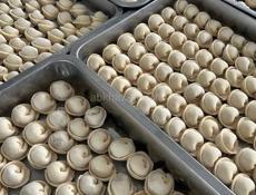 Повар в цех полуфабрикатов 