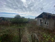 Гагра Сабина 