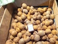 КИВИ ПРОДАМ