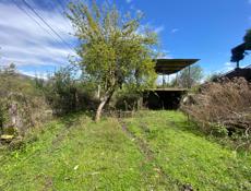 Сухум турбаза 