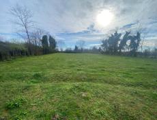 Гудаута золотой берег