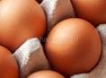 Продаются свежие домашние яйца 