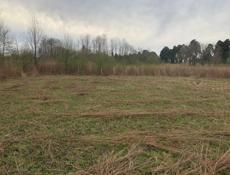 Алахадзы 6 соток 