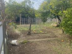 Дом в хорошем месте. 