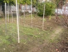 Дом в хорошем месте. 