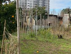 Дом в хорошем месте. 