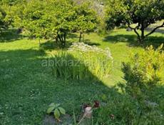 ДОМ С УДОБНЫМИ НОМЕРАМИ С ЦИТРУСОВЫМ САДОМ