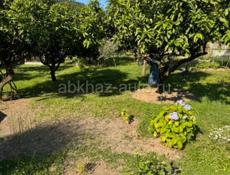 ДОМ С УДОБНЫМИ НОМЕРАМИ С ЦИТРУСОВЫМ САДОМ