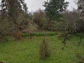 Земельный участок 