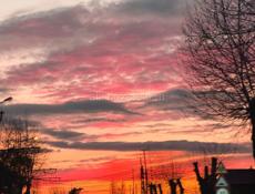 Сниму квартиру 