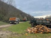 Дрова Ахьаца Граб Альха 9961888