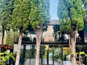 Сдается помещение в Новом Афоне