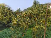 Лдзаа Срочно ❗❗❗