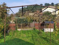 Лдзаа Срочно ❗❗❗