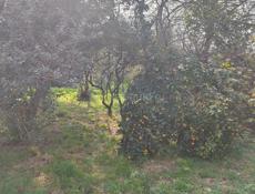 Лдзаа Срочно ❗❗❗