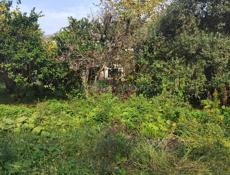 Лдзаа Срочно ❗❗❗