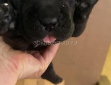 открыта бронь