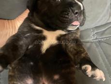 открыта бронь