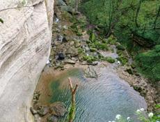 Хочу приобрести Бейсбольную биту