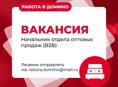 Начальник оптового отдела