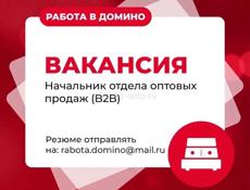 Начальник оптового отдела