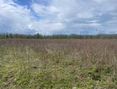 Участок в районе Аэропорта 20 соток.