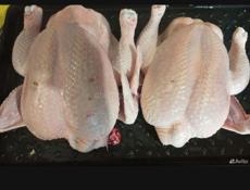 Продам броллеров на мясо.