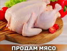 Продам броллеров на мясо.
