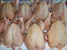 Продам броллеров на мясо.