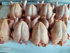 Продам броллеров на мясо.